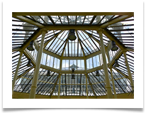 Palm House Roof - Helen Kulczycki